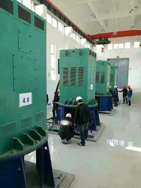 西林某污水处理厂使用我厂的立式高压电机安装现场